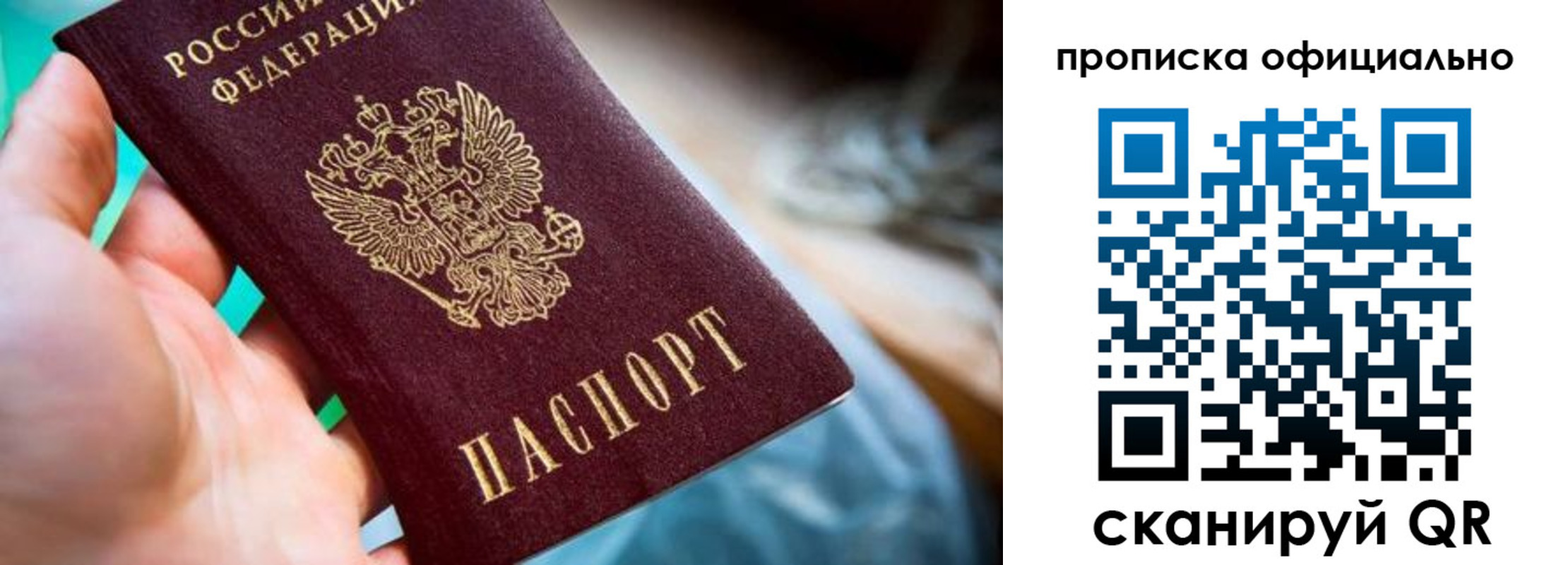 прописка поиск в Полярных Зорях